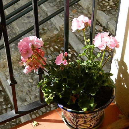 Escapadas romanticas en Granada jacuzzi Exterior foto